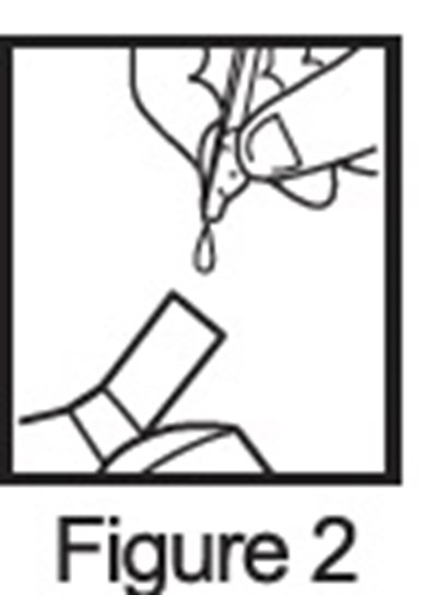 Figure 2 (Figure 2)